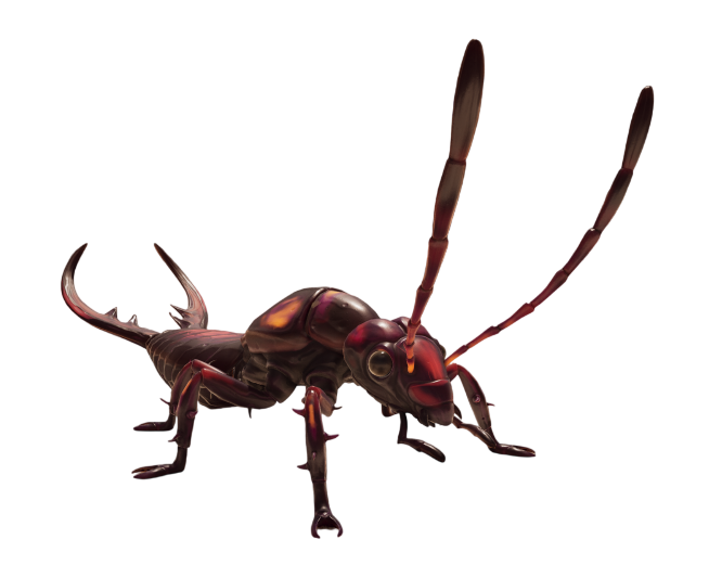 Pincher Earwig